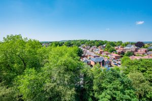 Photo 39- click for photo gallery